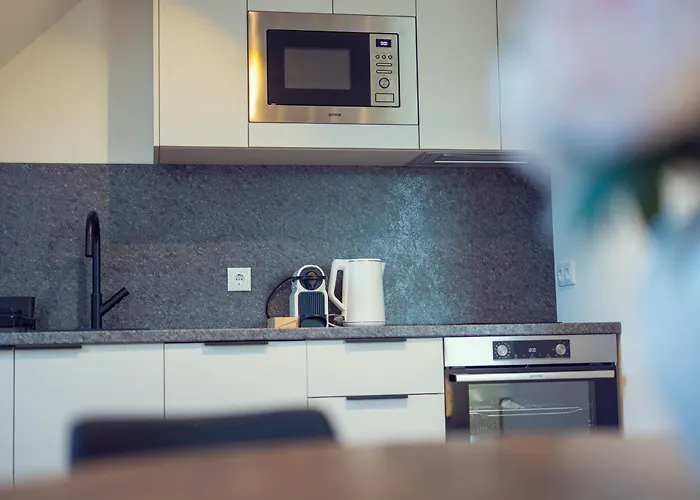 Leonart Living 54 * 格拉茨